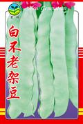 辽宁本溪市局（公司）成功上线智能职工体系